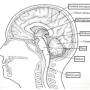 1747843325_image7.png