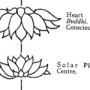 1747843322_image26.png