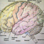 1747843325_image6.png