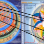1747843323_image10.png